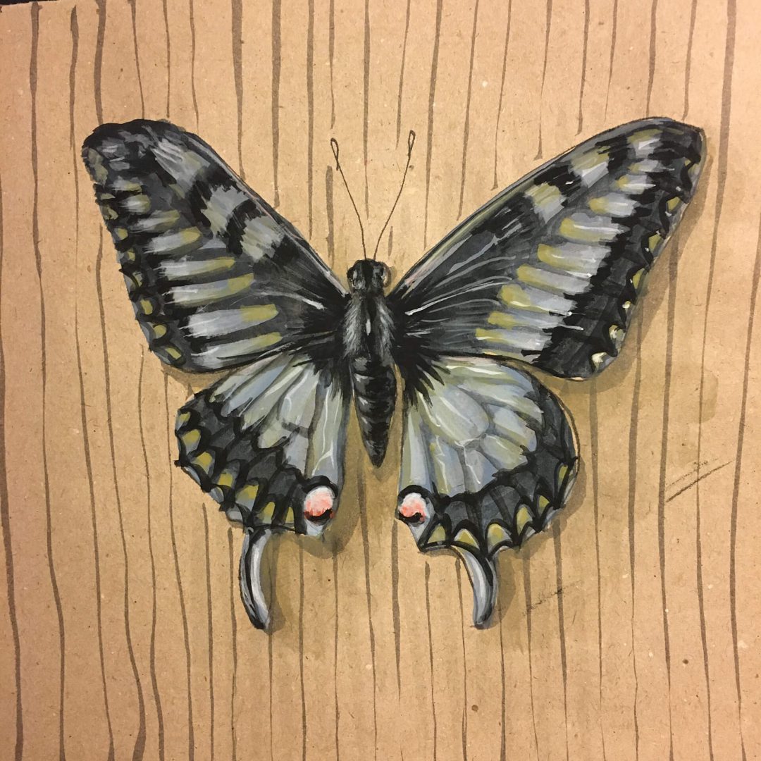 Eine Illustration in Gouache: Schmetterling