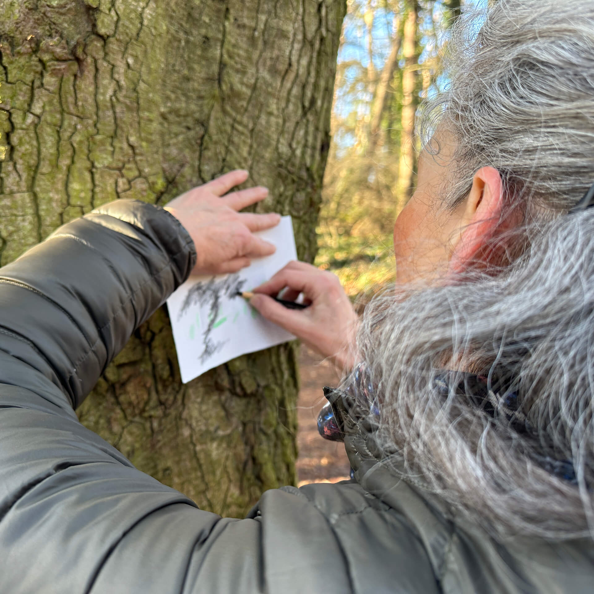 Frottage von Baumrinde im Wald