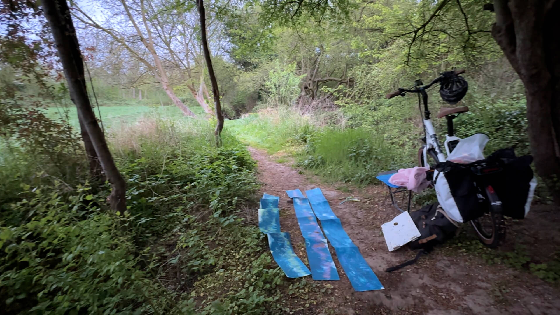 Mein Arbeitsplatz am Waldrand Mein Arbeitsplatz am Waldrand