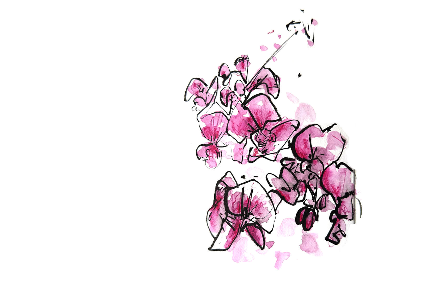 Flora Zeichenworkshop Flora Zeichenworkshop